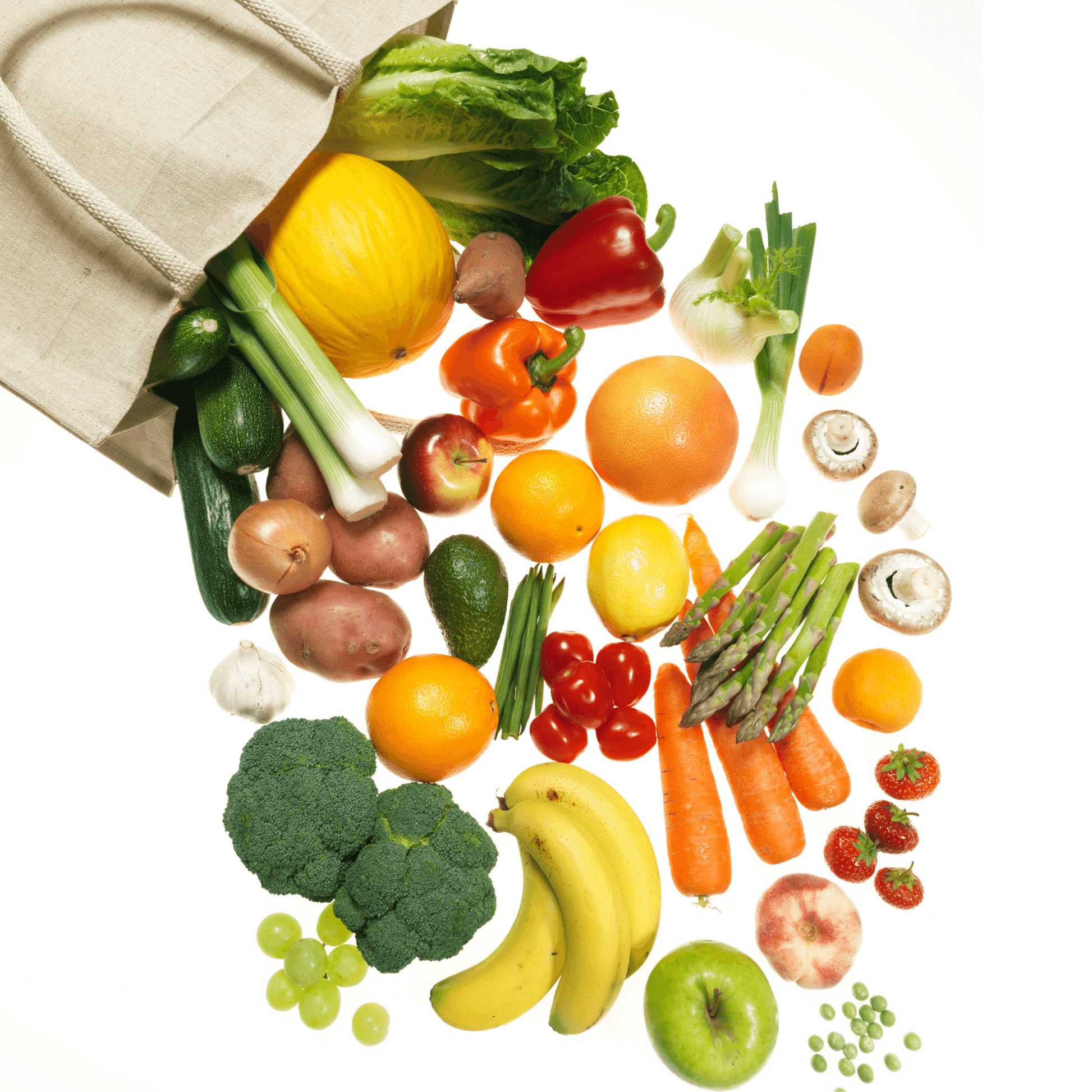 VitaHealth Multi Vitamin - Healthogenics