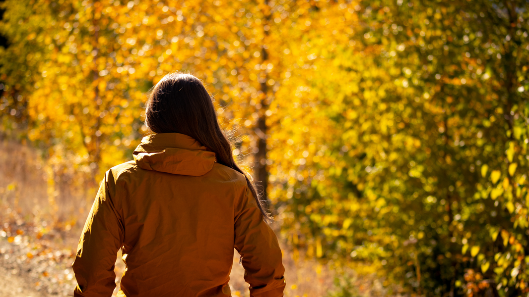 Embrace Fall: The Vital Role of Vitamin D in Your Weight Loss Journey