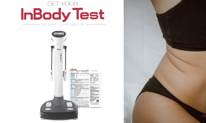 InBody body composition analyzer with a person wearing a black top and brown underwear on a white background.